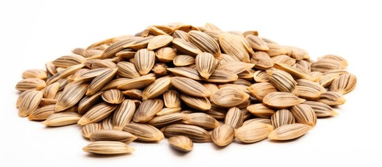 Poster - Raw and Nutritious Sunflower Seeds Arranged on a Clean White Background