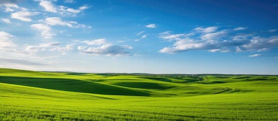 Wall Mural - Lush Green Field on Hillside View: Nature's Bounty for Agriculture and Relaxing Strolls
