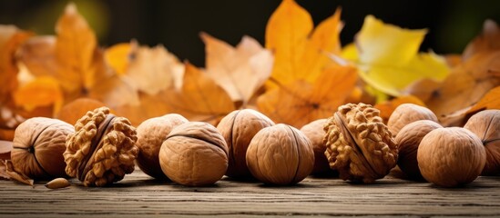 Poster - Gathering of Freshly Harvested Walnuts in the Vibrant Colors of Autumn Season