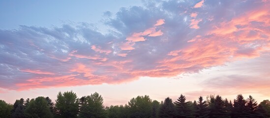 Poster - Serene Pink and Gray Sky with Dreamy Clouds and Silhouetted Tree Line at Twilight
