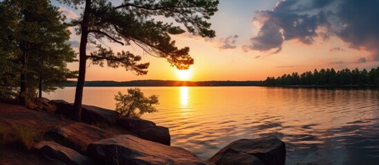 Aufkleber - Majestic Tree Silhouetted by Early Summer Sunset on Lake Shore
