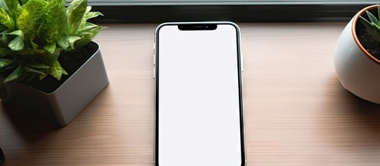 Poster - Modern White iPhone Displayed on a Desk Surrounded by Lush Greenery