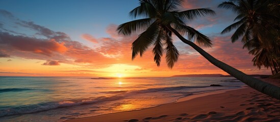 Sticker - Tranquil Palm Tree Silhouette at Sunrise on a Serene Sandy Beach