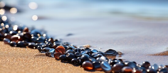 Poster - Sun-kissed Beach Shore Covered in Colorful Seashells and Bead Seaweed
