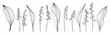 © Катерина Тышковская - Sketch spring flower collection. Lily of the valley line art botanical illustrations. Set with flowers and leaves. Vintage floral design elements. Vector botany