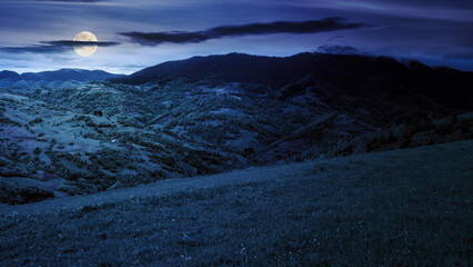 Wall Mural - rural meadow in carpathian mountains at night. wonderful countryside scenery in full moon light