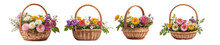 Set Of Flower In Baskets