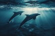Dolphins Moving Through Aquatic Realms