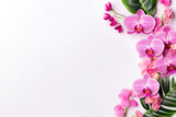 Fototapeta Storczyk - pink orchids and green leaves on a white background