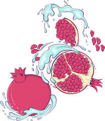 Wall Mural - Flying whole and half pomegranate with grains with water splash. Liquid drops. Vector illustration in hand drawn cartoon style. Still life with fruit ingredient for fresh juice isolated on white