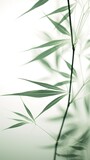 Fototapeta Dziecięca - Soft Green bamboo on white for your design and wallpaper
