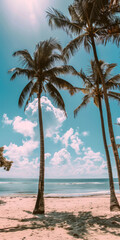 palm tree on the beach, background 