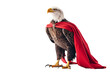 eagle in superhero attire, showcasing its regal and powerful appearance.