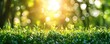 A fresh spring sunny garden background of green grass and blurred foliage bokeh  