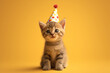 little kitty cat with birthday party hat, yellow and amber style