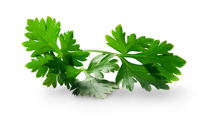 Wall Mural - Fresh parsley isolated on white