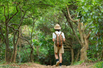 Sticker - Hiking woman in the forest hiking trail