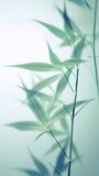 Fototapeta Sypialnia - Abstract white green bamboo leaves on soft background