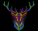 Fototapeta Konie - Abstract, multicolored portrait of a deer in watercolor style on a black background.