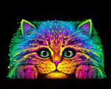 Fototapeta Konie - Abstract, multicolored portrait of a fluffy cat in watercolor style on a black background.