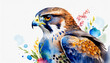 Watercolor illustration of Falcon bird. Wild animal. Hand drawn art.