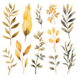 assorted watercolor leaves collection on a transparent background png isolated