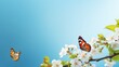 Two Butterflies Flying Over Tree Branch With White Flowers