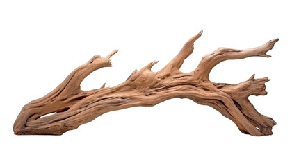 Wall Mural - log wood isolated on transparent background cutout