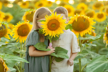 Wall Mural - Happy little girl and boy have fun among blooming sunflowers under the sunset rays of the sun. Brother and sister hold a yellow sunflower flower in the hands and cover their faces with it.