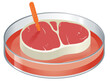 Vector illustration of an isolated Petri dish containing lab-grown meat with a Lab sticker.