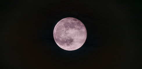 Wall Mural - Pink full super moon on black sky background