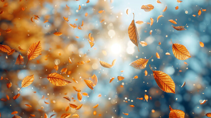 Poster - Autumn landscape. Autumn tree leaves sky background.