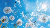 Fototapeta Dmuchawce - dynamic shot of dandelion seeds blowing in the wind against a vivid blue sky, conveying a sense of freedom and the whimsical beauty of nature.
