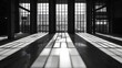 Dramatic Shadows and Light in a Monochromatic Grand Hall - Generative AI