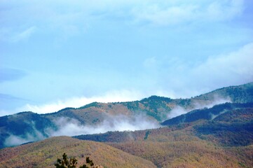 hill landscape in morning mist