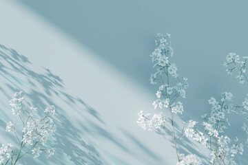 Wall Mural - Minimalist spring pastel floral background with empty copy space. Two branches of a soft delicate white flowers on a light blue background.