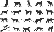 Cheetah Silhouette, Cheetah Running Silhouettes, Cheetah Svg, Cheetah Vector Illustration