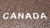Fototapeta Przestrzenne - Concept or conceptual large community of people forming the word CANADA. 3d illustration metaphor for culture, history and education, politics, economy and business, travel and adventure