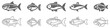 Set of 10 minimal fish icons showing aquatic animals with various fins, scales, tails and gills swimming in water, as a skeleton or in a bowl