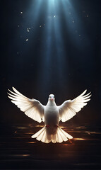 A white dove on a dark background and rays of light in the background