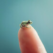 Cute minimal animal concept on pastel background. A miniature cub in a human hand on a fingertip. Cute irresistible baby frog.
