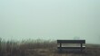 Solitary Park Bench in Misty Field with Ethereal Morning Fog