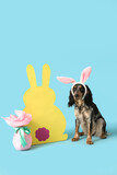 Fototapeta Panele - Cute cocker spaniel in bunny ears with Easter gift egg and paper rabbit on blue background