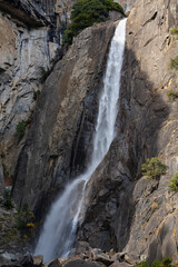 Wall Mural - Lower Yosemite Falls, Yosemite