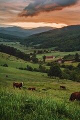 Poster - Herd of cattle grazing on a lush green hillside, suitable for agriculture concepts