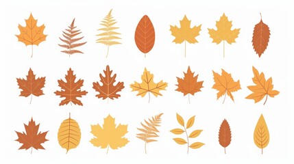 Poster - Various types of leaves on a plain white backdrop. Suitable for botanical, nature, or environmental themes
