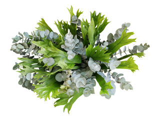 Wall Mural - Bunch of climbing bird's nest fern and Silver Drop eucalyptus leaves, tropical foliages flower bouquet floral arrangement