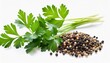 mediterranean herbs and spices set of fresh healthy parsley leaves twigs and a small bunch isolated over a transparent background cooking food or diet design elements png