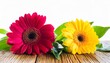 flowers isolated on white background include clipping path