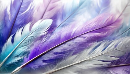 Wall Mural - beautiful abstract purple and blue feathers on white background and soft white pink feather texture on colorful pattern colorful background colorful feather